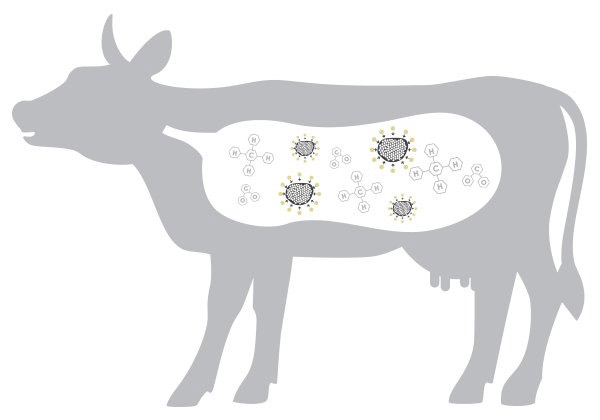 ����̿���Ʋ����(d��ng)������ϵ�y(t��ng)